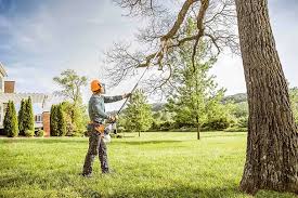 Best Lawn Mowing  in Linln Park, CO