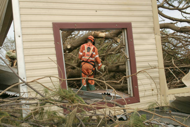 Best Arborist Consultation Services  in Linln Park, CO